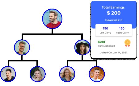 Why Binary MLM Plans Attract Fast-Track Earners in 2025