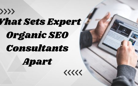 What Sets Expert Organic SEO Consultants Apart