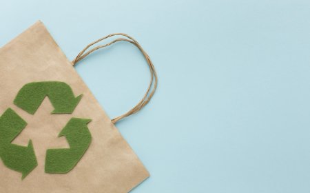 How Schools Can Benefit from Eco Friendly Products