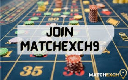 Matchexch9: Your Ultimate Online Sports Trading Platform