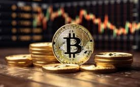 The Best Cold Wallet Crypto Strategies for 2025: Security Meets Opportunity