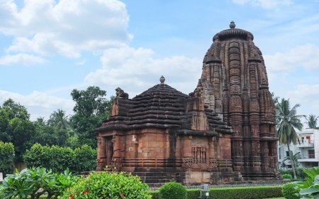 Discover Odisha Tour Packages for a Memorable Travel Journey