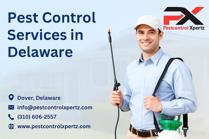Eco-Friendly Pest Control in Glasgow: Safe Solutions for Your Home