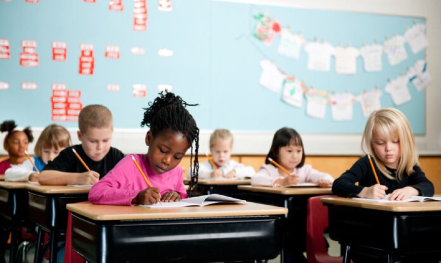 Top Elementary School in Englewood